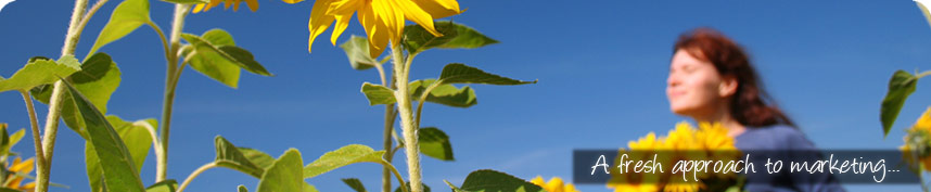 fresh approach to marketing and public relations